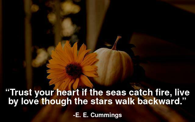 Trust your heart if the seas catch fire, live by love though the stars walk backward.