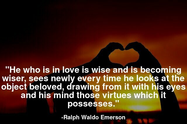 He who is in love is wise and is becoming wiser, sees newly every time he looks at the object beloved, drawing from it with his eyes and his mind those virtues which it possesses.