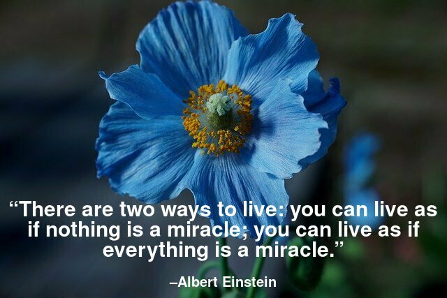 There are two ways to live: you can live as if nothing is a miracle; you can live as if everything is a miracle.