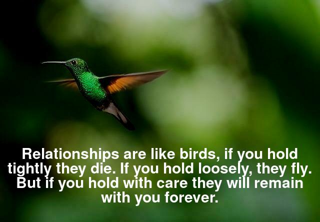 Relationships are like birds, if you hold tightly they die.If you hold loosely, they fly.But if you hold with care they will remain with you forever.