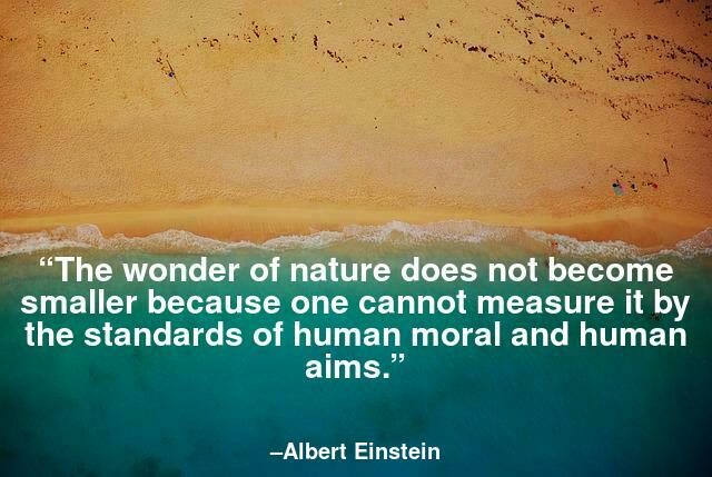 The wonder of nature does not become smaller because one cannot measure it by the standards of human moral and human aims.