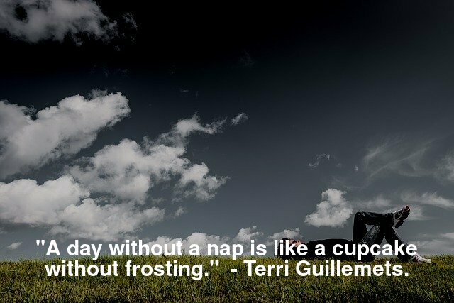 "A day without a nap is like a cupcake without frosting."  - Terri Guillemets.