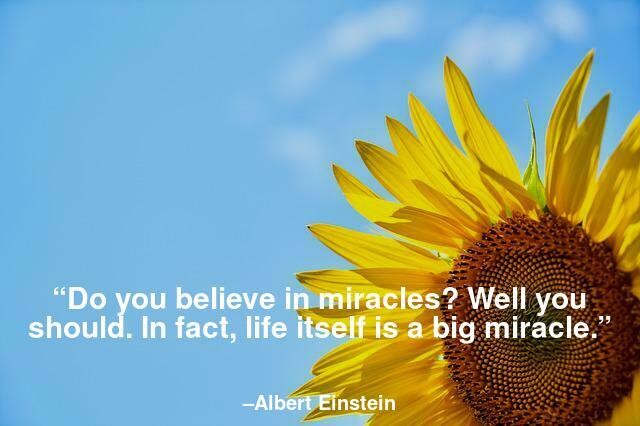 Do you believe in miracles? Well you should. In fact, life itself is a big miracle.