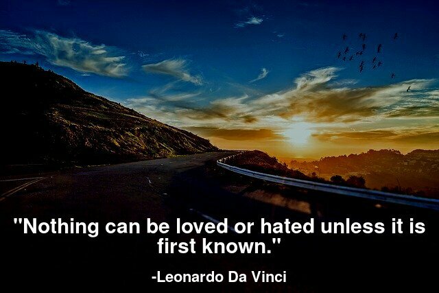 Nothing can be loved or hated unless it is first known.