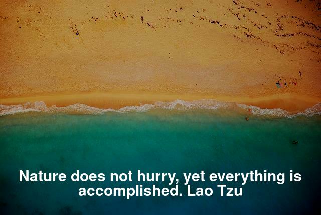 Nature does not hurry, yet everything is accomplished. Lao Tzu