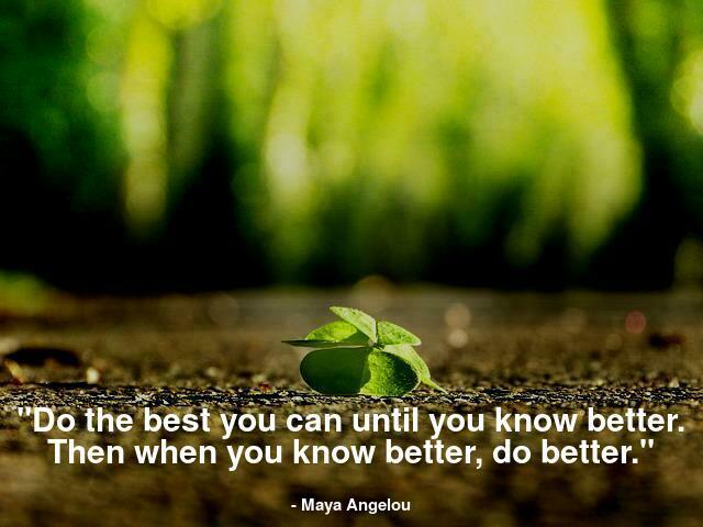 "Do the best you can until you know better. Then when you know better, do better."