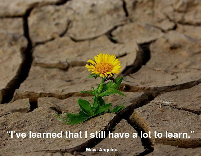 “I’ve learned that I still have a lot to learn.”