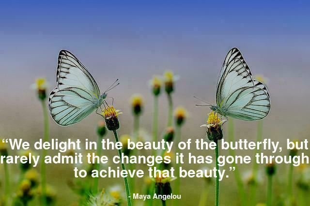 “We delight in the beauty of the butterfly, but rarely admit the changes it has gone through to achieve that beauty.”