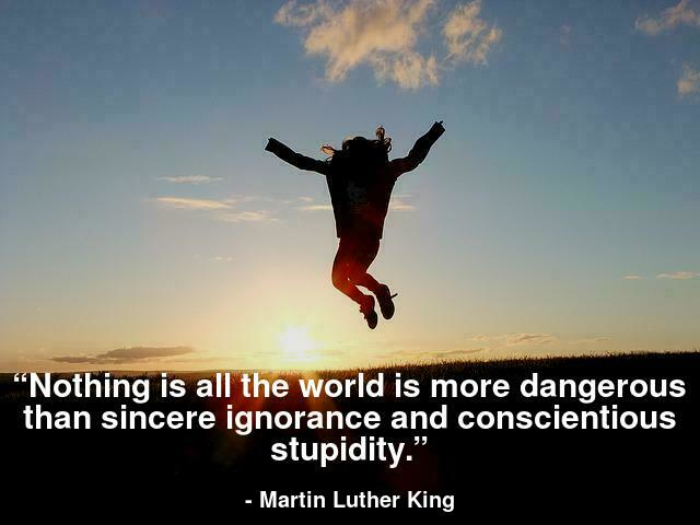 “Nothing is all the world is more dangerous than sincere ignorance and conscientious stupidity.”