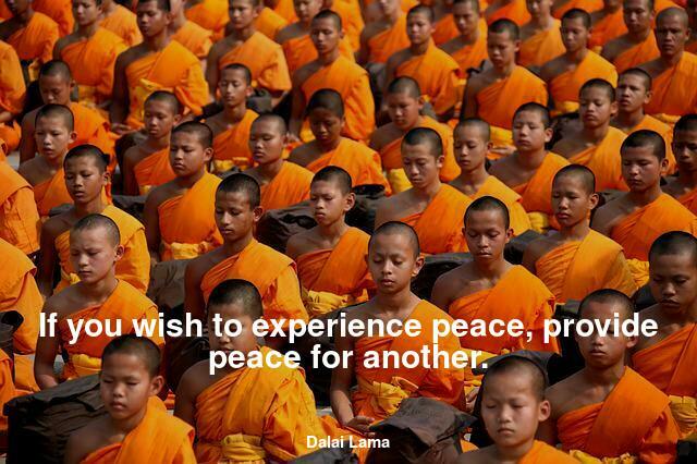 If you wish to experience peace, provide peace for another.