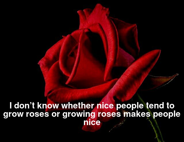  don’t know whether nice people tend to grow roses or growing roses makes people nice.