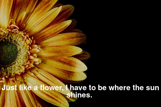 Just like a flower, I have to be where the sun shines. 