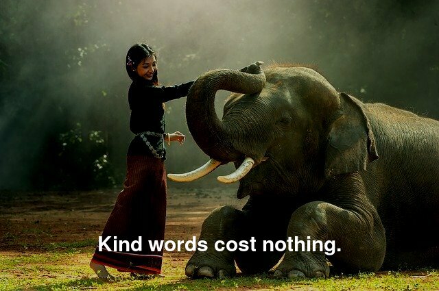 Kind words cost nothing.