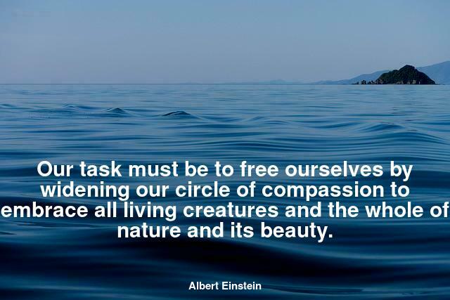 Our task must be to free ourselves by widening our circle of compassion to embrace all living creatures and the whole of nature and its beauty.
