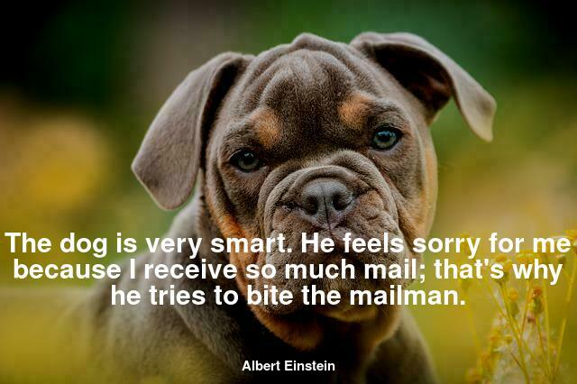 The dog is very smart. He feels sorry for me because I receive so much mail; that's why he tries to bite the mailman.