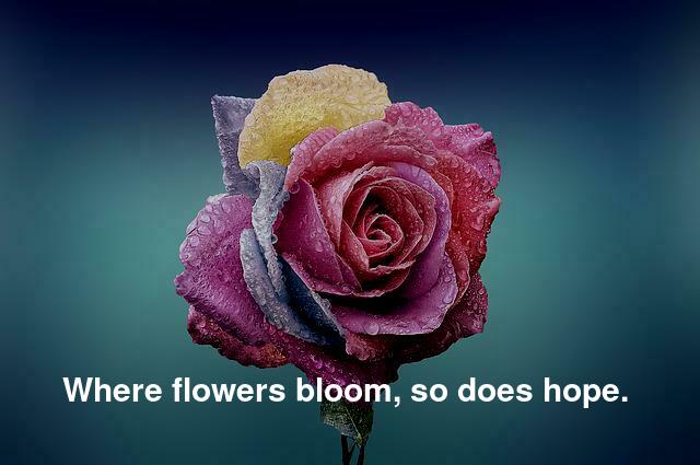 Where flowers bloom, so does hope. 