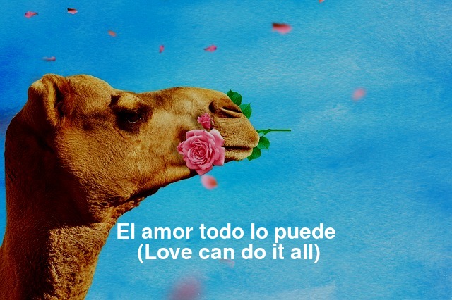 El amor todo lo puede (Love can do it all)