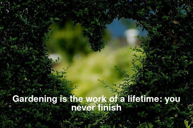 Gardening is the work of a lifetime: you never finish.