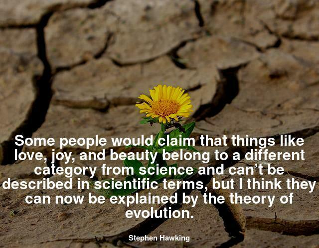 Some people would claim that things like love, joy and beauty belong to a different category from science and can’t be described in scientific terms, but I think they can now be explained by the theory of evolution.