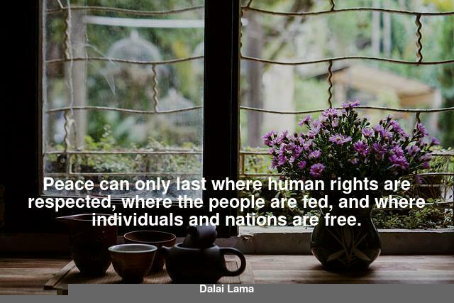  Peace can only last where human rights are respected, where the people are fed, and where individuals and nations are free.