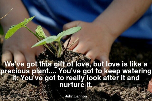 We've got this gift of love, but love is like a precious plant. You can't just accept it and leave it in the cupboard or just think it's going to get on by itself. You've got to keep watering it. You've got to really look after it and nurture it.