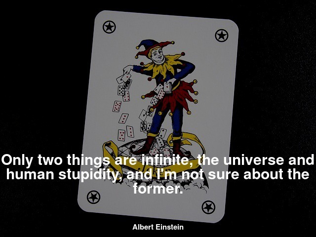  Only two things are infinite, the universe and human stupidity, and I'm not sure about the former.