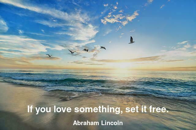 If you love something, set it free.