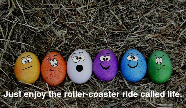  roller-coaster ride