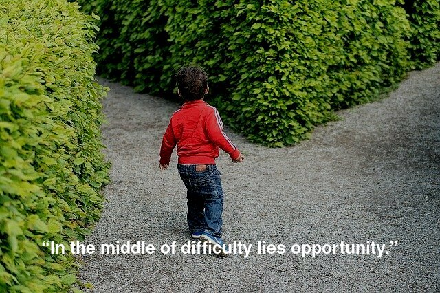  “In the middle of difficulty lies opportunity.”