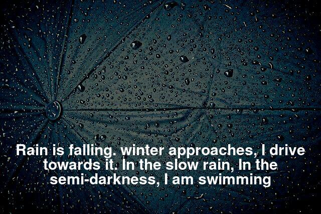 Rain is falling. winter approaches, I drive towards it. In the slow rain, In the semi darkness, I am swimming
