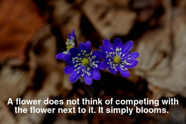 A flower does not think of competing with the flower next to it. It simply blooms. 
