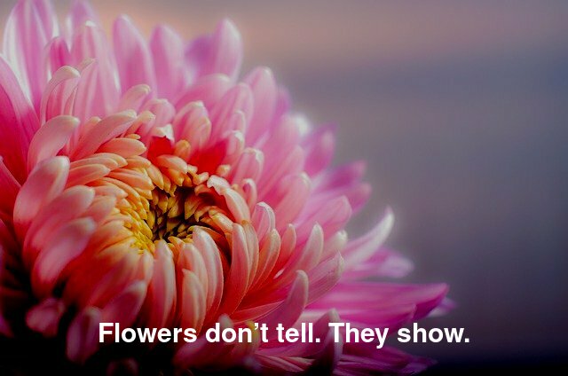 Flowers don’t tell. They show.