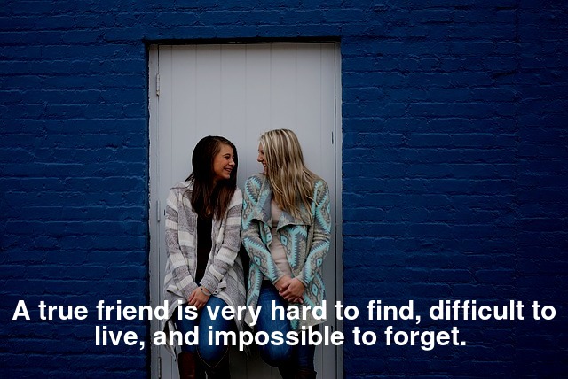 A true friend is very hard to find, difficult to live, and impossible to forget. 