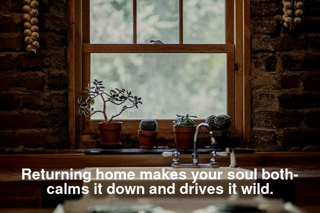 Returning home makes your soul both- calms it down and drives it wild.