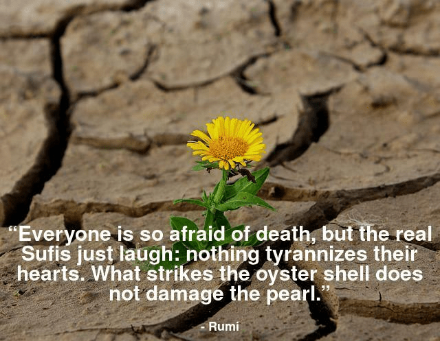 Everyone is so afraid of death, but the real sufis just laugh: nothing tyrannizes their hearts. What strikes the oyster shell does not damage the pearl.