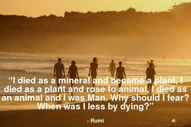 I died as a mineral and became a plant, I died as a plant and rose to animal, I died as an animal and I was Man. Why should I fear? When was I less by dying?